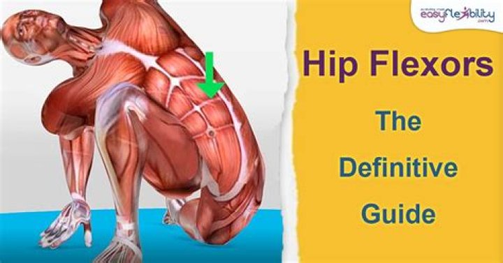 What movement do hip flexors cause?