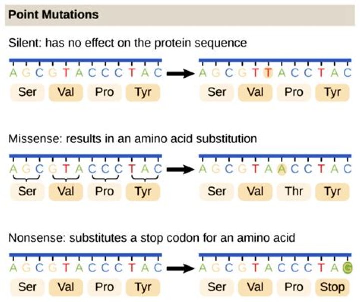 What mutations cause loss-of-function?