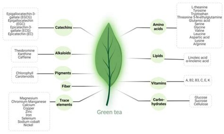 What nutrients are in compost tea?