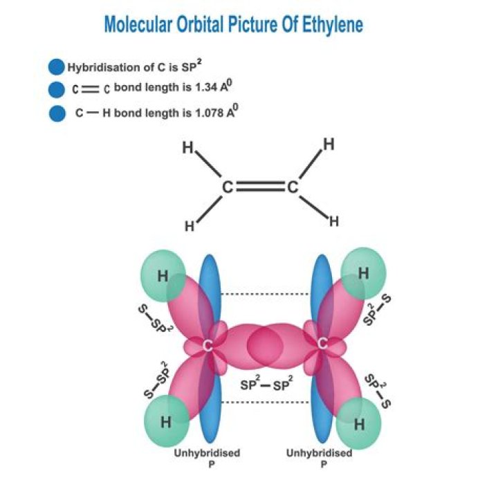 What orbitals overlap in ethyne?