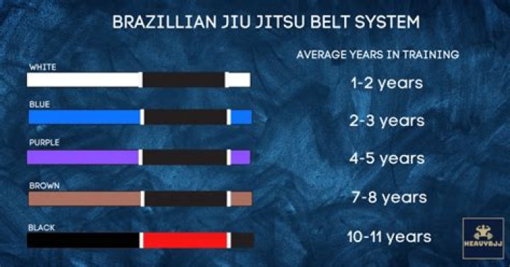What order are the belts in Jiu Jitsu?