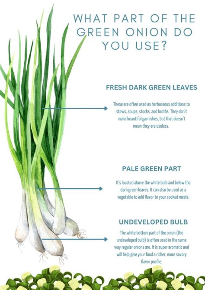 What part of the green onion do you use?