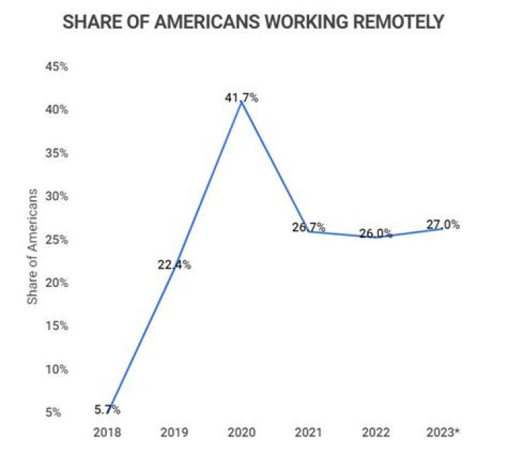 What percent of Americans work on a computer?