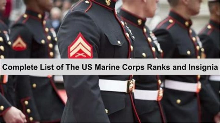 What percentage of the Marines are female?