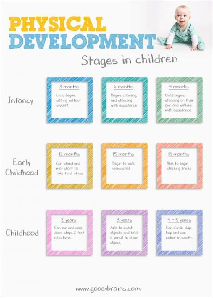 What physical developments occur during toddlerhood?