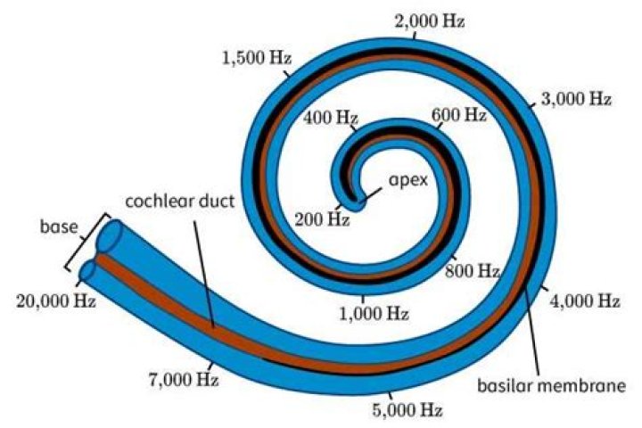 What pitch is 415 Hz?