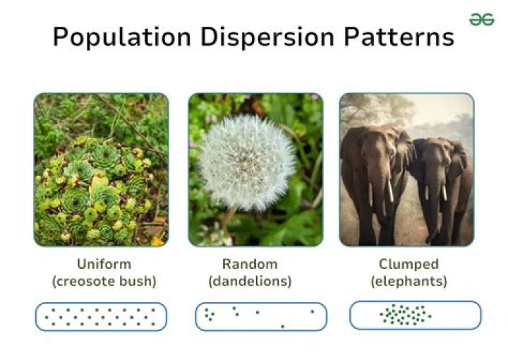 What population is more prone to develop ulcers?