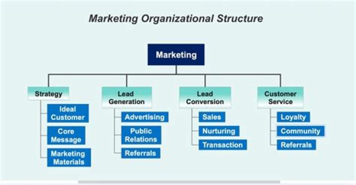 What positions are in marketing department?