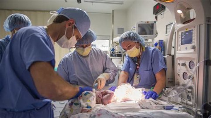 What procedures does a neonatologist do?