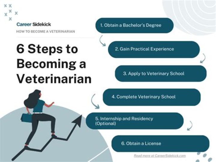What qualifications do you need to walk dogs?