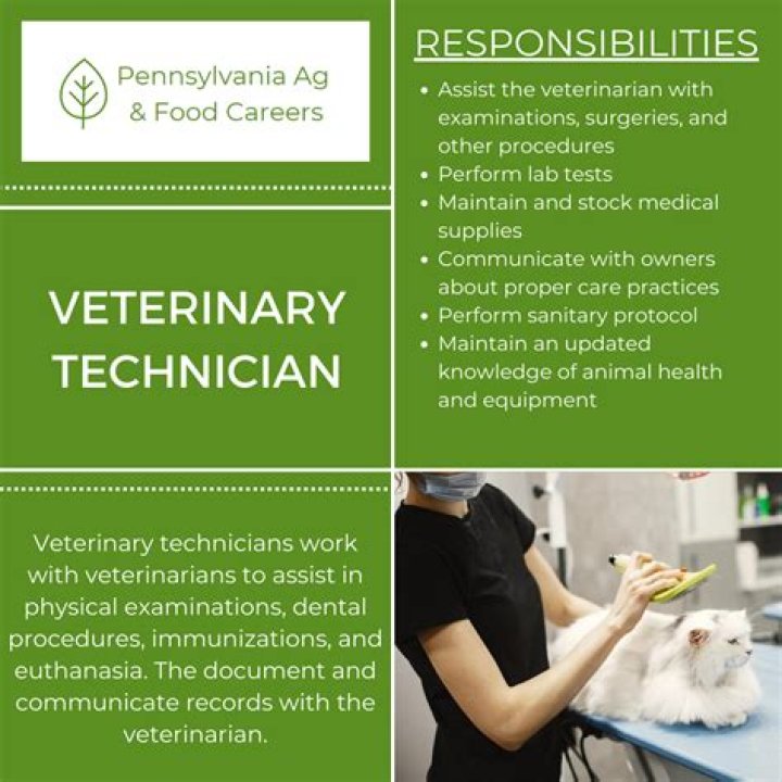 What qualifies as veterinary experience?