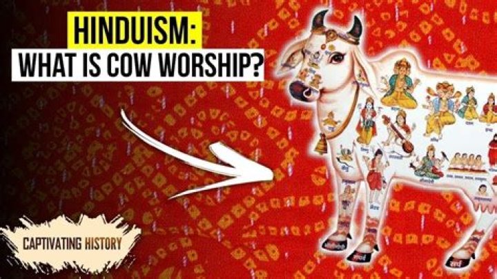 What religion worships cows and why?