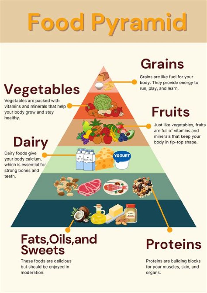 What replaced the food pyramid in 2011?