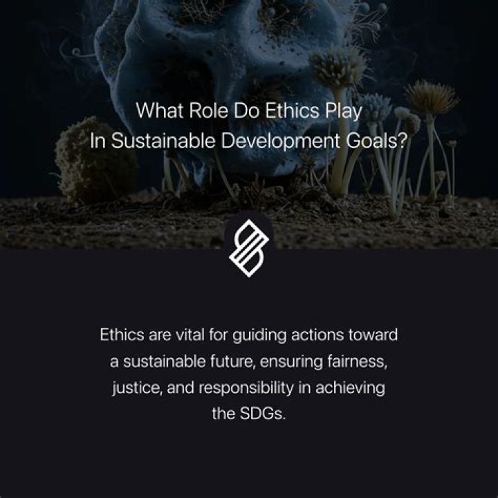 What role do ethics play in organization?