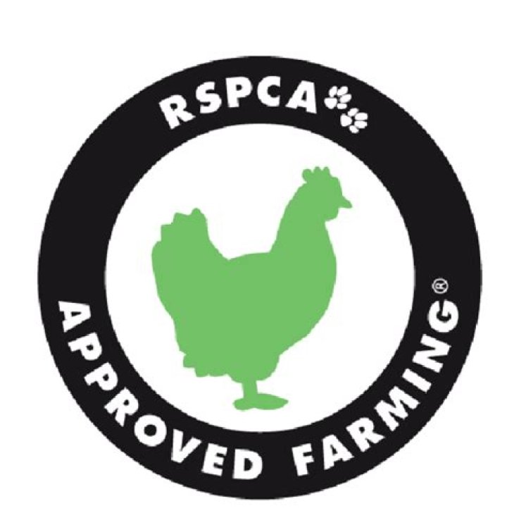 What services do Rspca provide?