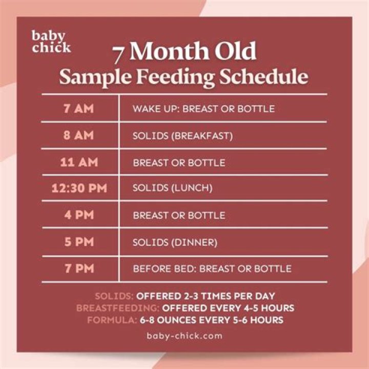 What should 7 month old be eating?
