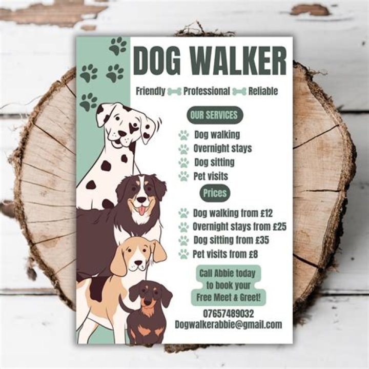 What should a dog walking Flyer say?