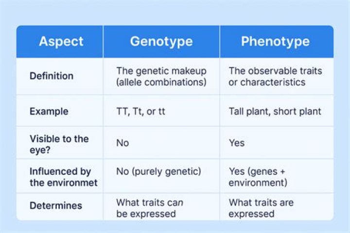 What should as GenoType eat?
