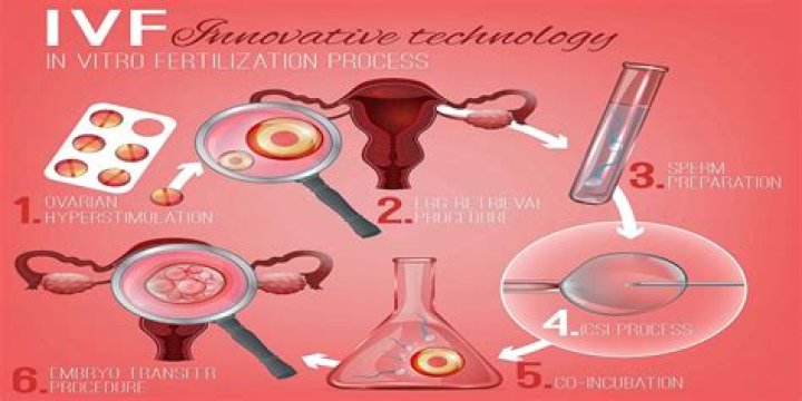 What should be avoided during IVF treatment?