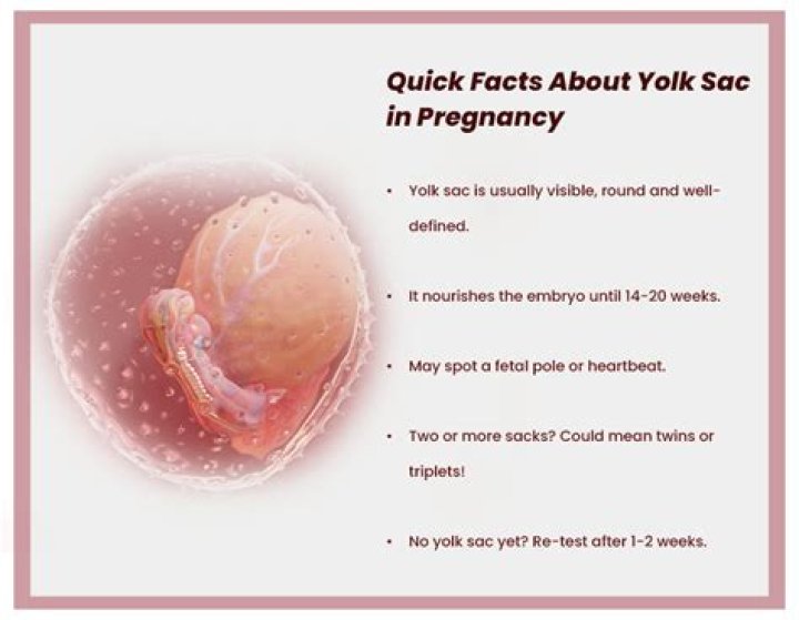 What should be the size of yolk sac at 6 weeks?