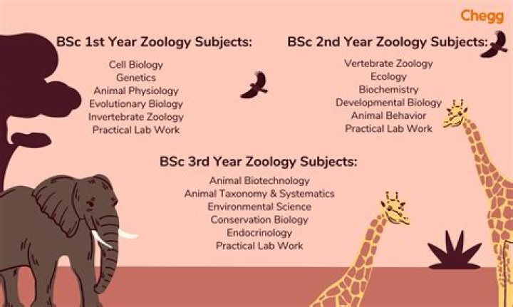 What should I do after BSc in biology?