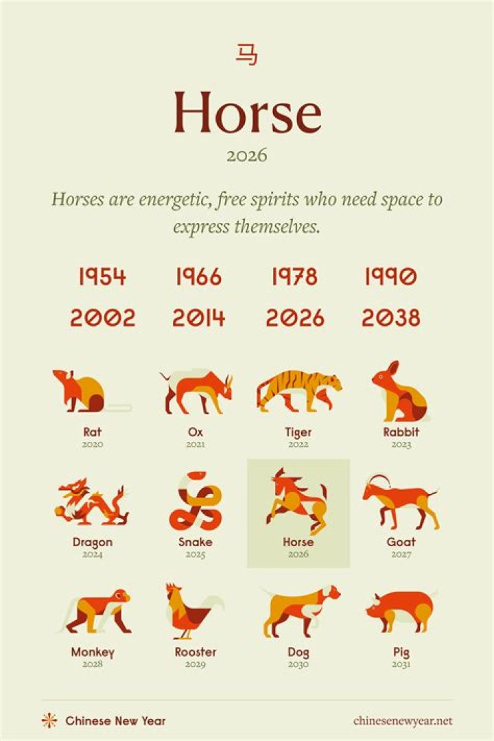 What should I do with my horse today?