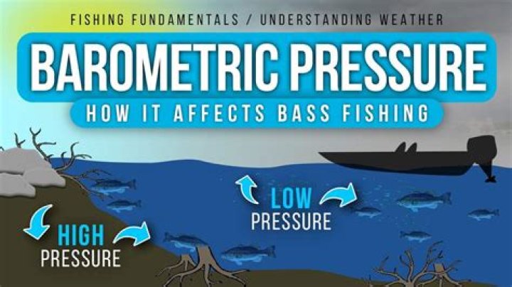 What should the barometric be for fishing?
