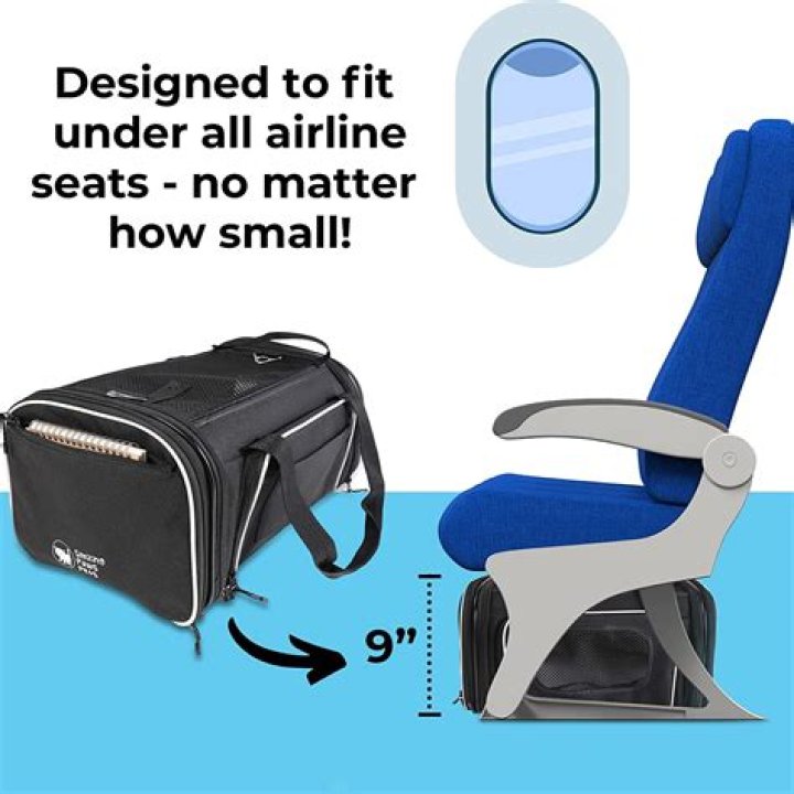 What size pet carrier fits under airline seat?