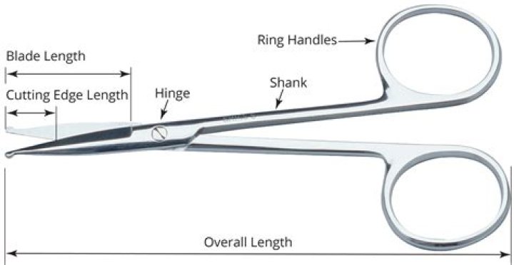 What sounds do scissors make?