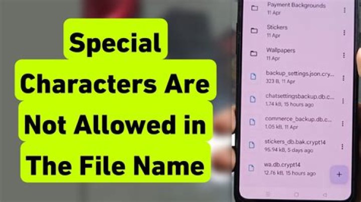 What special characters are not allowed in URL?