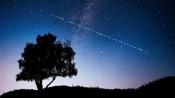 What stars do we see at night?