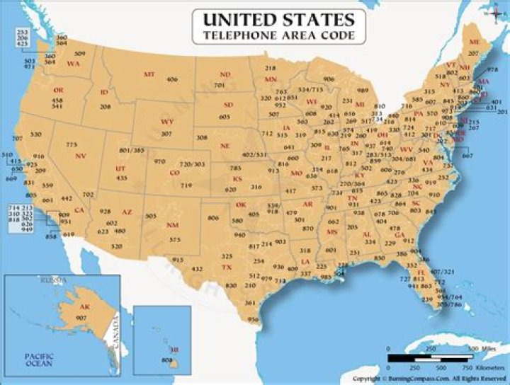 What state and time zone is area code 360?