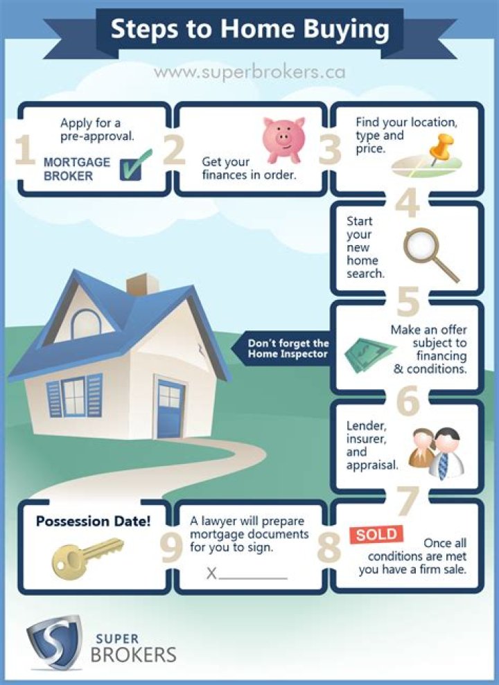 What steps do solicitors take when buying a house?