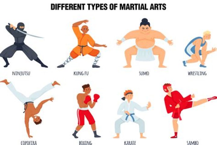 What styles are in mixed martial arts?