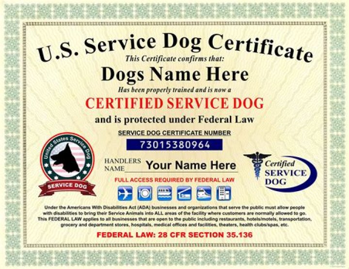 What supplies do I need for a service dog?