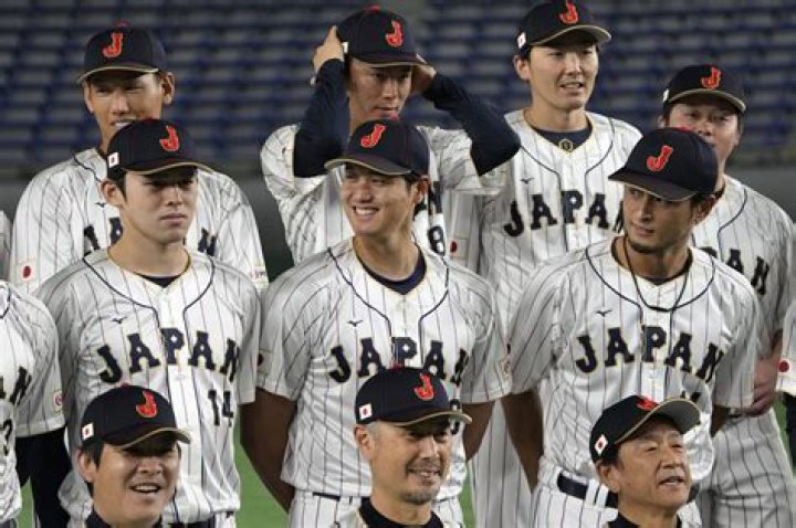 What team did Yu Darvish play for in Japan?