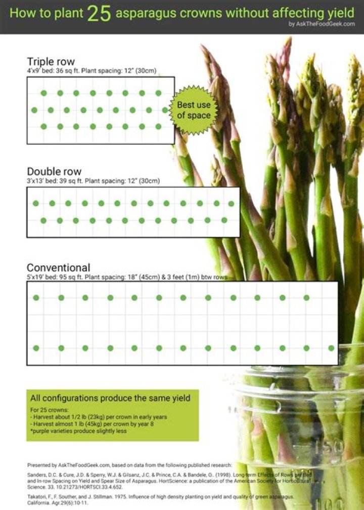 What temperature does asparagus sprout at?