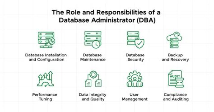 What the responsibilities of the DBA and the data?
