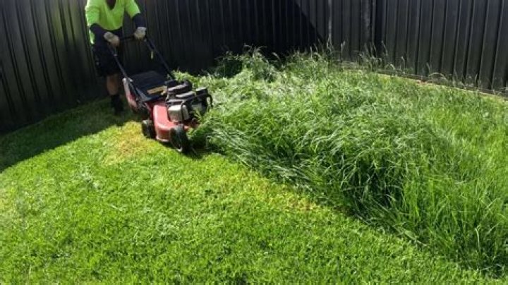 What time can you start mowing your lawn NZ?