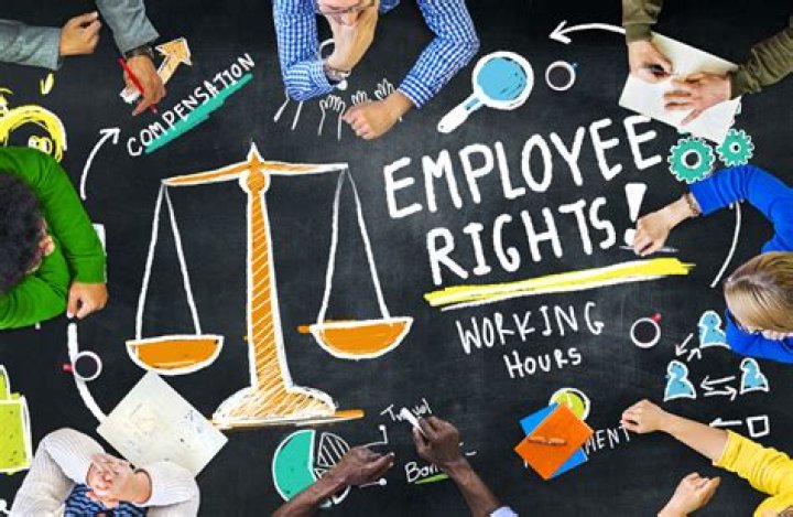What to do if an employee assaults another employee?