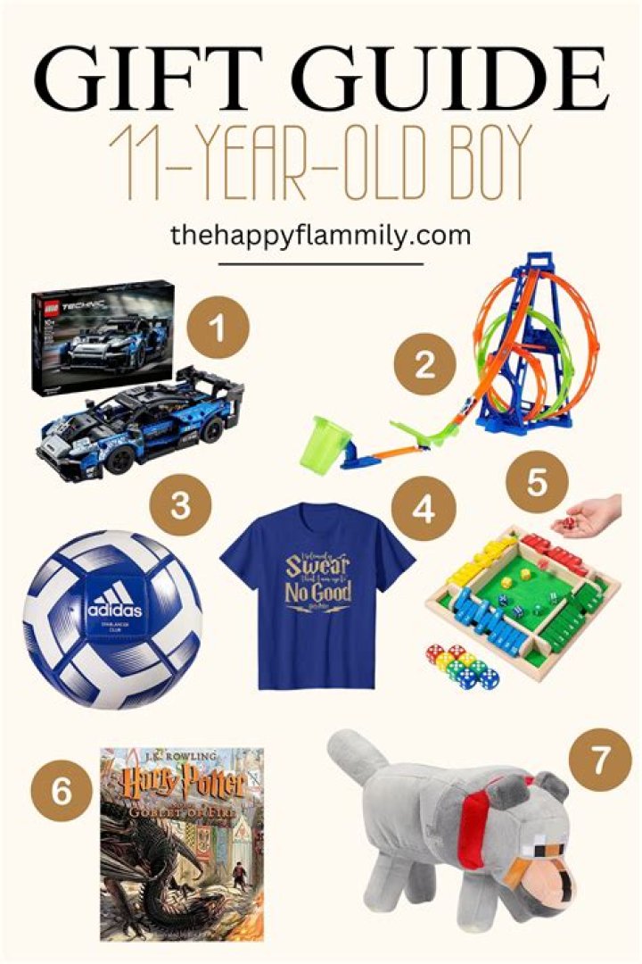 What to get a 8 year old boy who has everything?