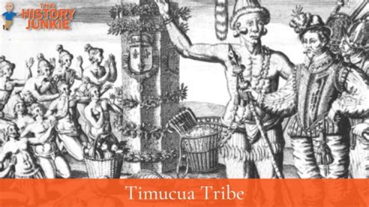 What traditions did the Timucua tribe have?