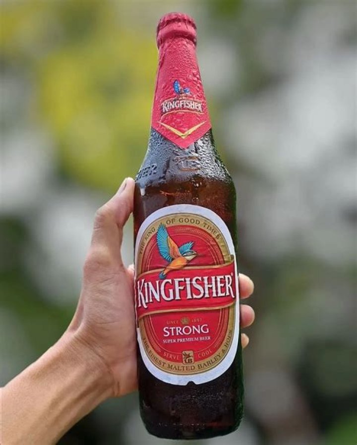 What type of beer is Kingfisher?