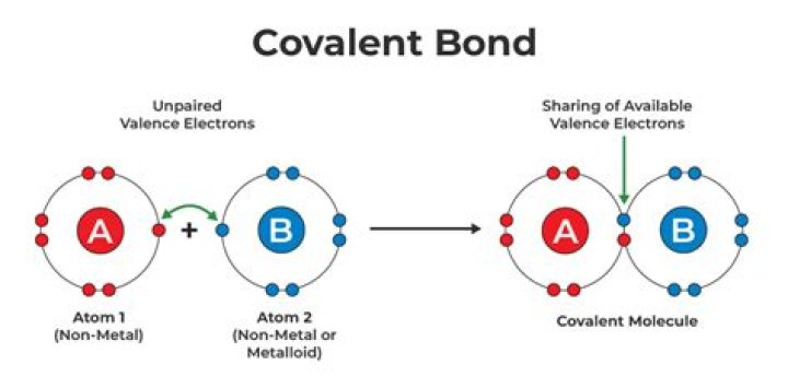 What type of bond is a covalent bond?