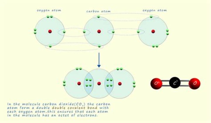 What type of bond is formed between carbon and fluorine?