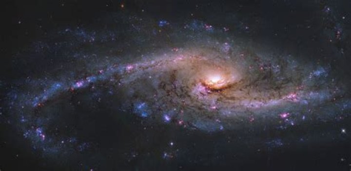What type of galaxy is LMC?