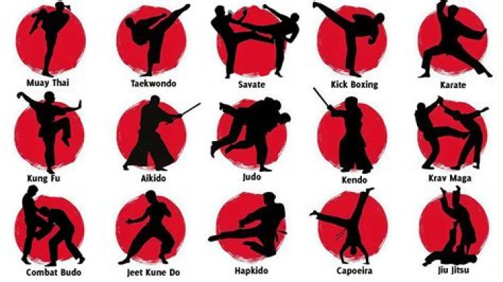 What type of martial arts do Koreans use?