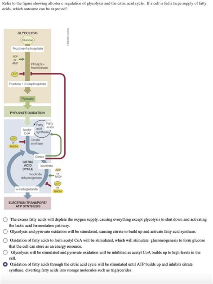 What type of pathway is the citric acid cycle?