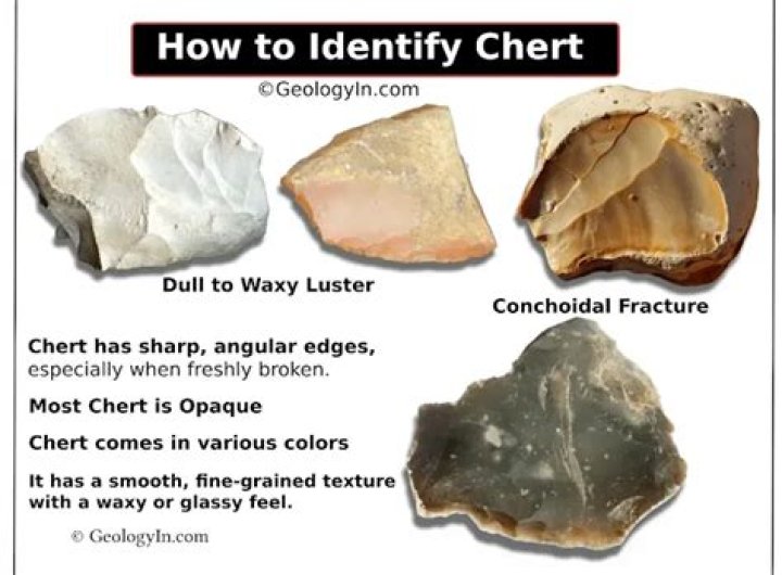 What type of sedimentary rock is chert?
