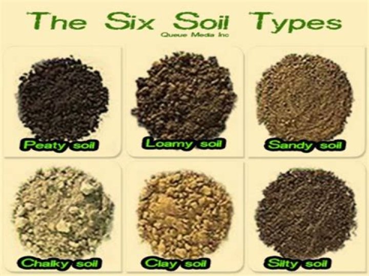 What type of soil do we have in NY?
